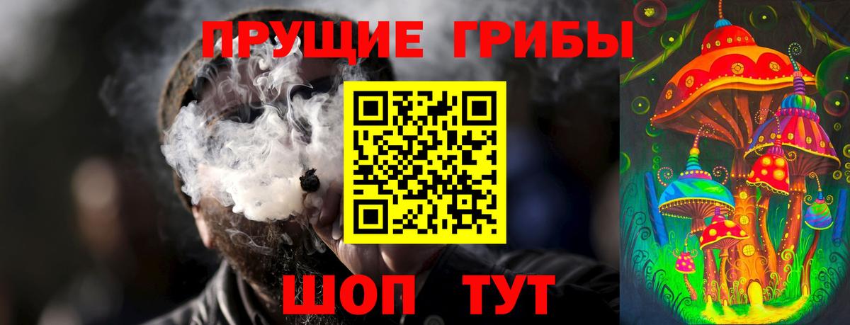 Лобня  Псилоцибиновые грибы GOLDEN TEACHER  Вход с VPN 